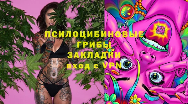 соль курить ск Богородицк