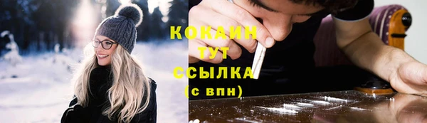 соль ск Богородск
