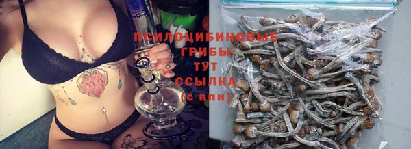 твердый Бородино