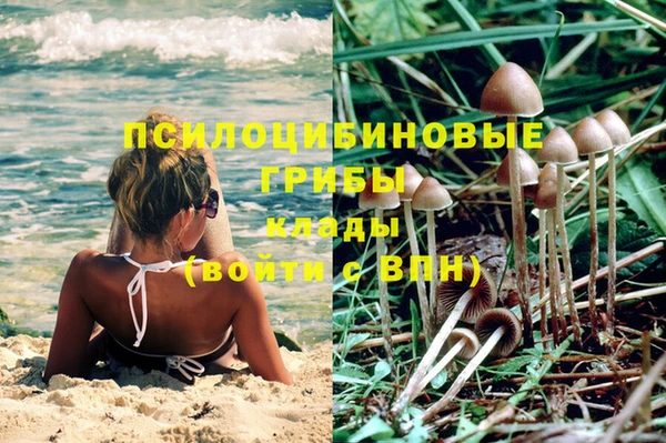 меф Богданович